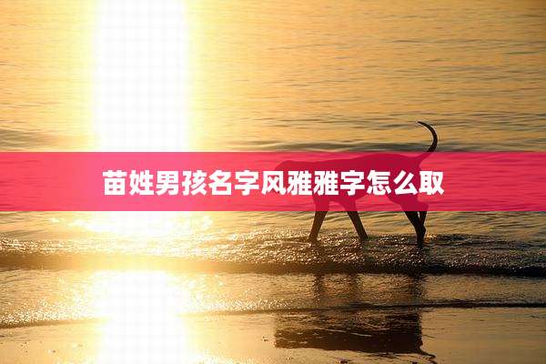 苗姓男孩名字风雅雅字怎么取