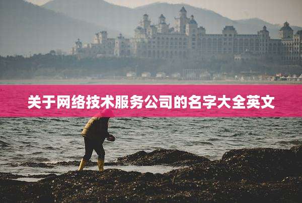 关于网络技术服务公司的名字大全英文