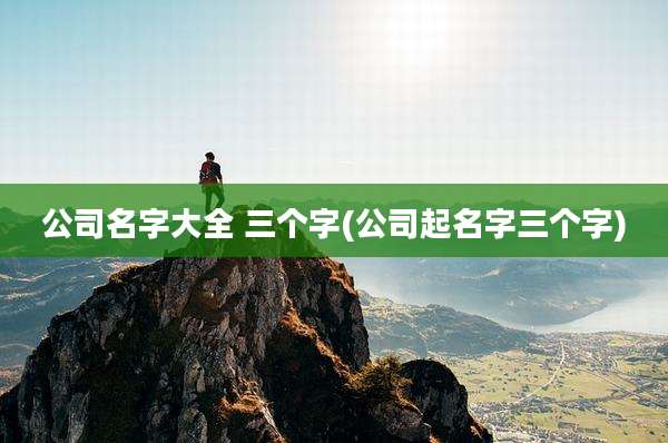 公司名字大全 三个字(公司起名字三个字)