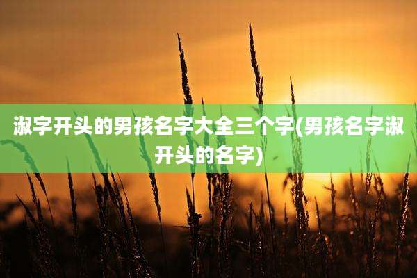 淑字开头的男孩名字大全三个字(男孩名字淑开头的名字)