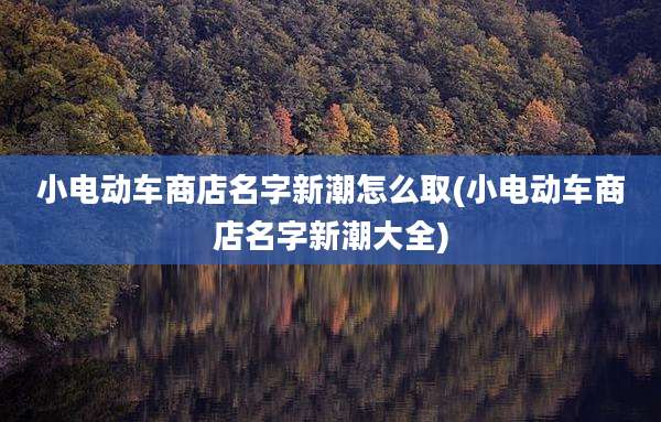 小电动车商店名字新潮怎么取(小电动车商店名字新潮大全)