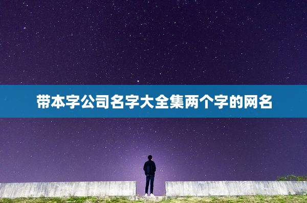 带本字公司名字大全集两个字的网名