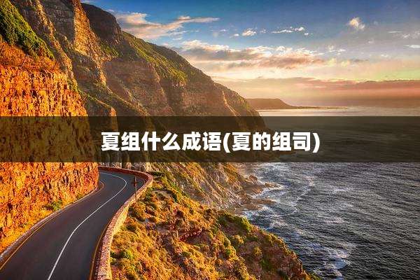 夏组什么成语(夏的组司)