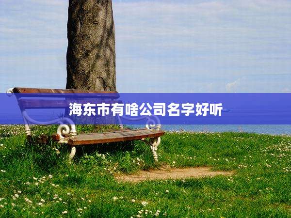 海东市有啥公司名字好听