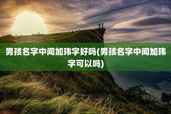 男孩名字中间加玮字好吗(男孩名字中间加玮字可以吗)