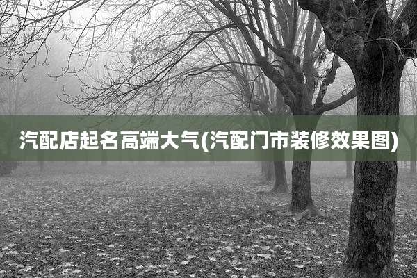 汽配店起名高端大气(汽配门市装修效果图)
