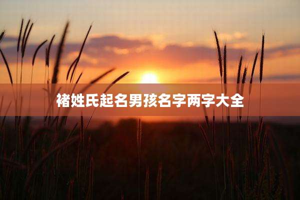褚姓氏起名男孩名字两字大全