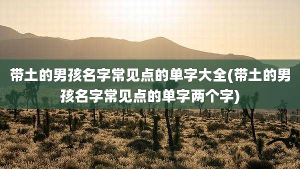 带土的男孩名字常见点的单字大全(带土的男孩名字常见点的单字两个字)