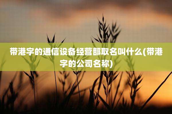 带港字的通信设备经营部取名叫什么(带港字的公司名称)