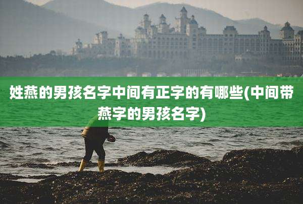 姓燕的男孩名字中间有正字的有哪些(中间带燕字的男孩名字)