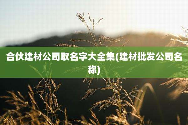 合伙建材公司取名字大全集(建材批发公司名称)