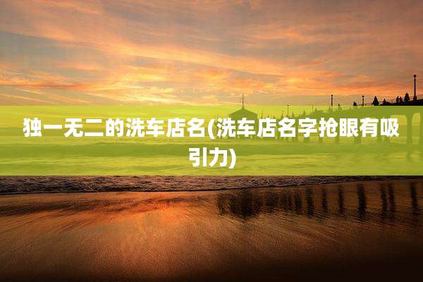 独一无二的洗车店名(洗车店名字抢眼有吸引力)