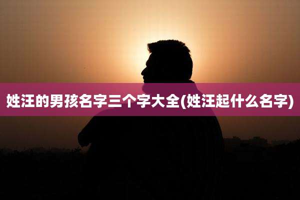姓汪的男孩名字三个字大全(姓汪起什么名字)