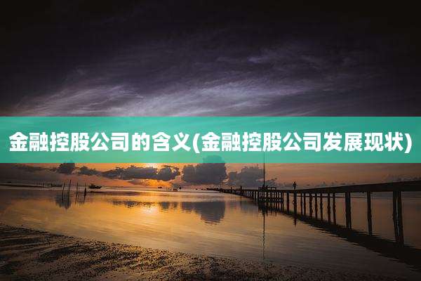 金融控股公司的含义(金融控股公司发展现状)
