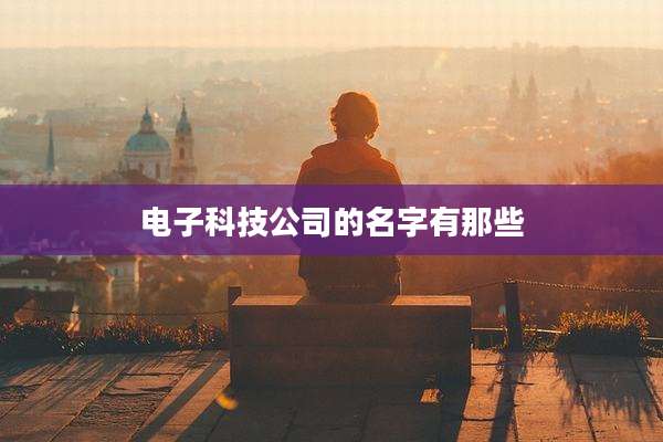 电子科技公司的名字有那些