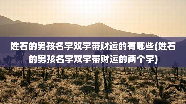姓石的男孩名字双字带财运的有哪些(姓石的男孩名字双字带财运的两个字)