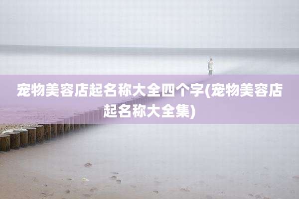 宠物美容店起名称大全四个字(宠物美容店起名称大全集)