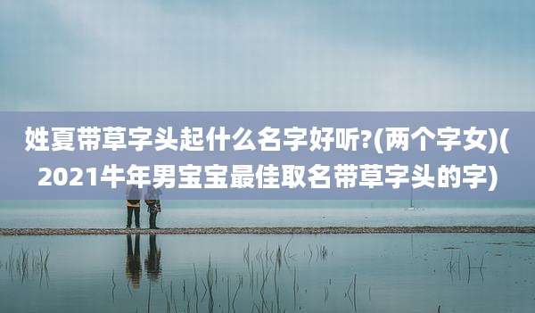 姓夏带草字头起什么名字好听?(两个字女)(2021牛年男宝宝最佳取名带草字头的字)