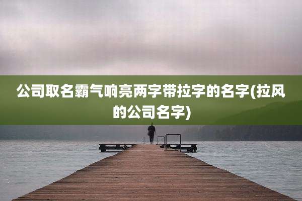 公司取名霸气响亮两字带拉字的名字(拉风的公司名字)