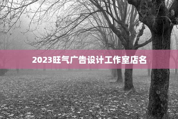 2023旺气广告设计工作室店名