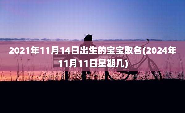 2021年11月14日出生的宝宝取名(2024年11月11日星期几)
