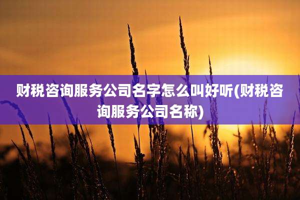 财税咨询服务公司名字怎么叫好听(财税咨询服务公司名称)