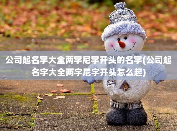 公司起名字大全两字尼字开头的名字(公司起名字大全两字尼字开头怎么起)