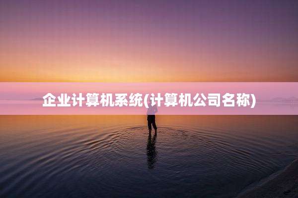 企业计算机系统(计算机公司名称)