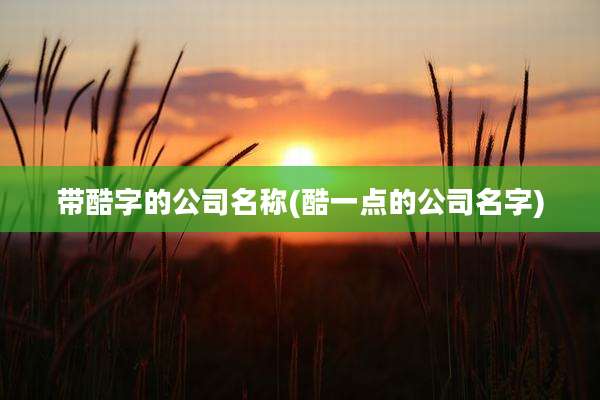 带酷字的公司名称(酷一点的公司名字)