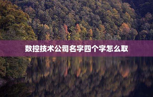 数控技术公司名字四个字怎么取