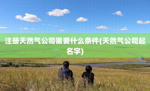 注册天然气公司需要什么条件(天然气公司起名字)