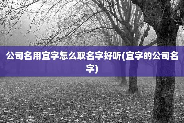 公司名用宜字怎么取名字好听(宜字的公司名字)