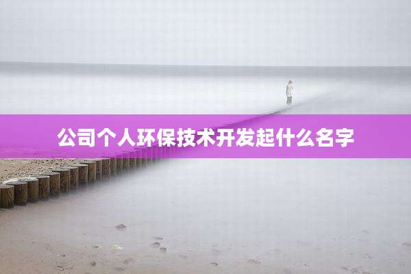 公司个人环保技术开发起什么名字