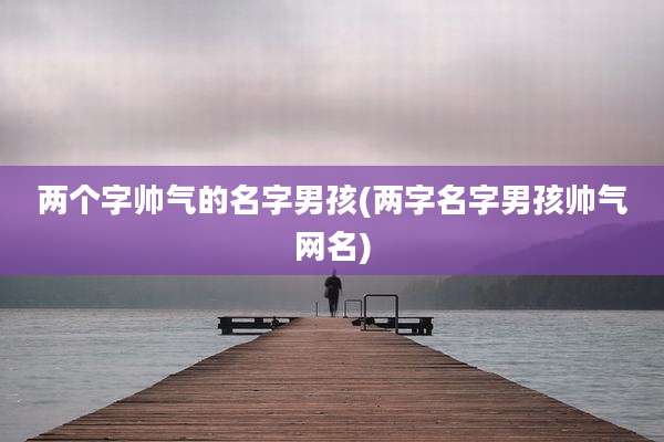 两个字帅气的名字男孩(两字名字男孩帅气网名)