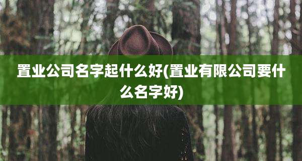 置业公司名字起什么好(置业有限公司要什么名字好)