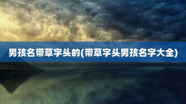 男孩名带草字头的(带草字头男孩名字大全)