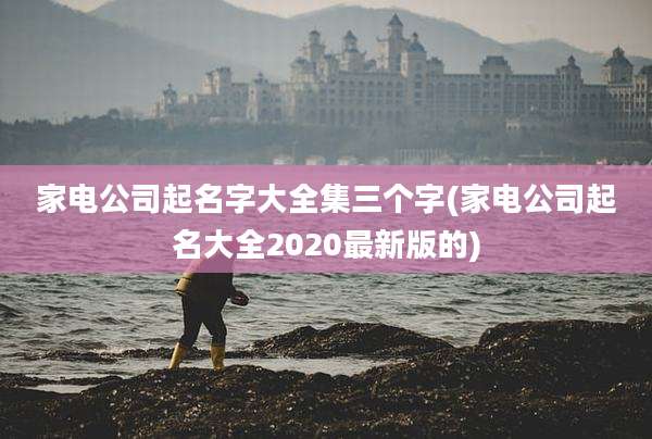 家电公司起名字大全集三个字(家电公司起名大全2020最新版的)