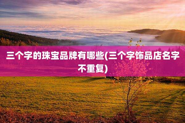 三个字的珠宝品牌有哪些(三个字饰品店名字不重复)