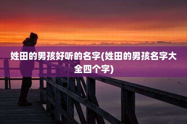 姓田的男孩好听的名字(姓田的男孩名字大全四个字)