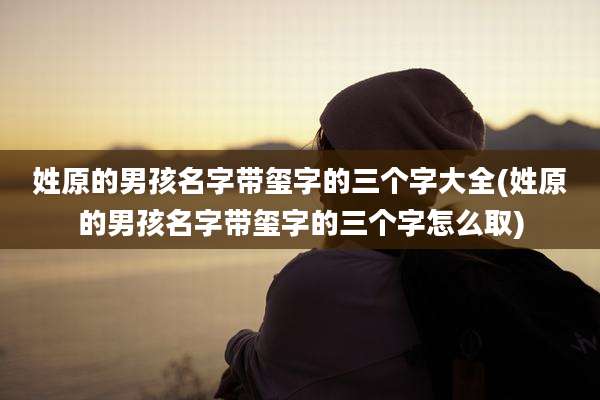 姓原的男孩名字带玺字的三个字大全(姓原的男孩名字带玺字的三个字怎么取)
