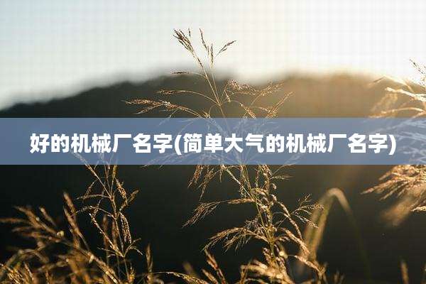 好的机械厂名字(简单大气的机械厂名字)