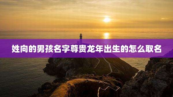 姓向的男孩名字尊贵龙年出生的怎么取名