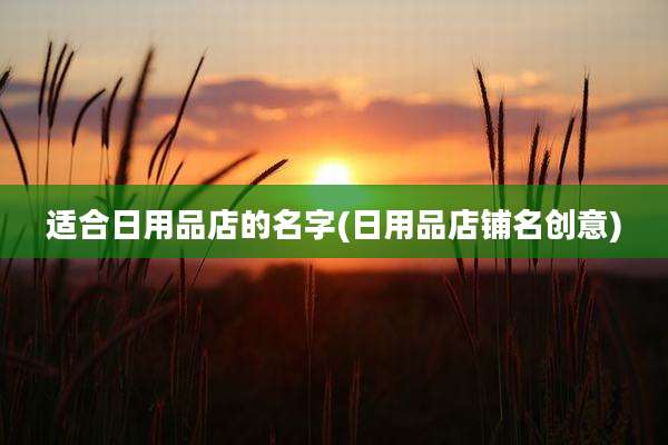 适合日用品店的名字(日用品店铺名创意)