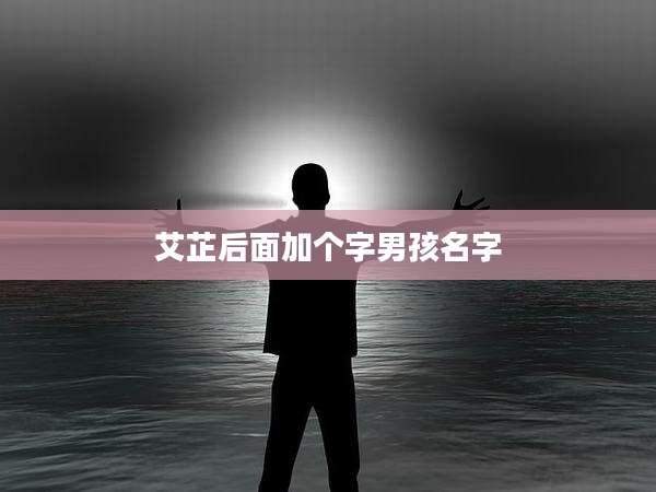 艾芷后面加个字男孩名字