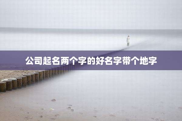 公司起名两个字的好名字带个地字