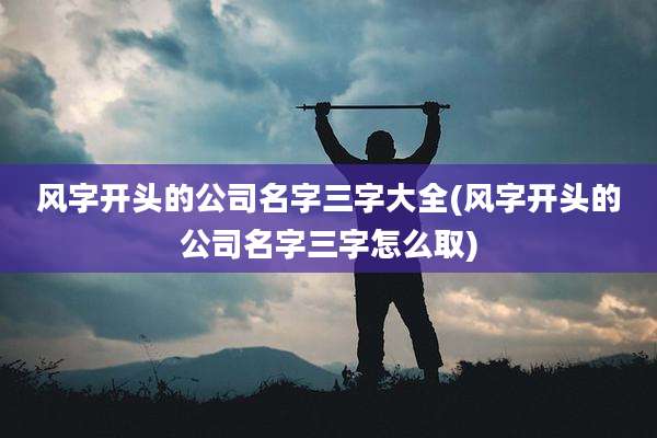 风字开头的公司名字三字大全(风字开头的公司名字三字怎么取)