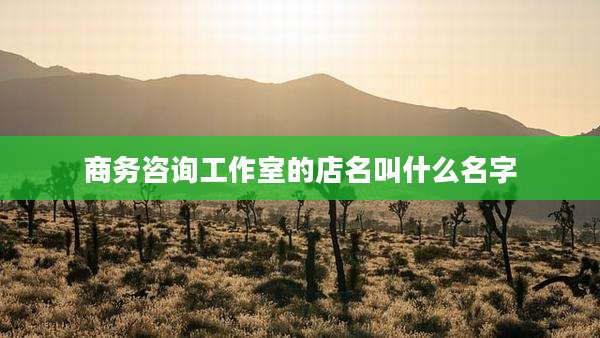 商务咨询工作室的店名叫什么名字