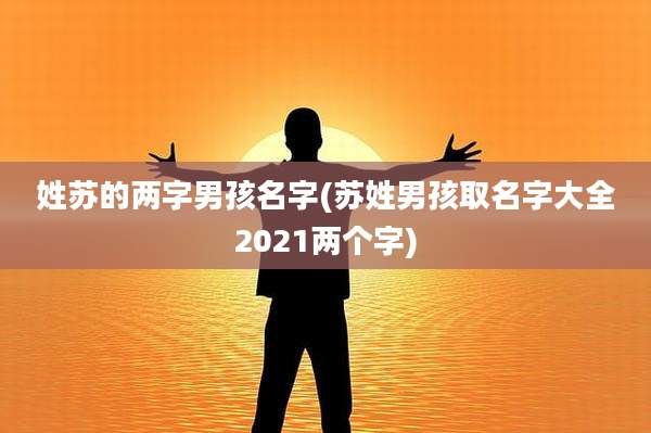 姓苏的两字男孩名字(苏姓男孩取名字大全2021两个字)