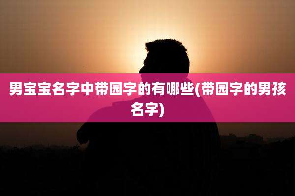 男宝宝名字中带园字的有哪些(带园字的男孩名字)