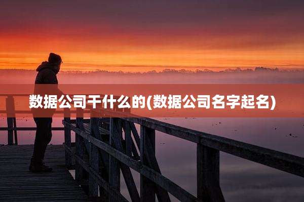 数据公司干什么的(数据公司名字起名)